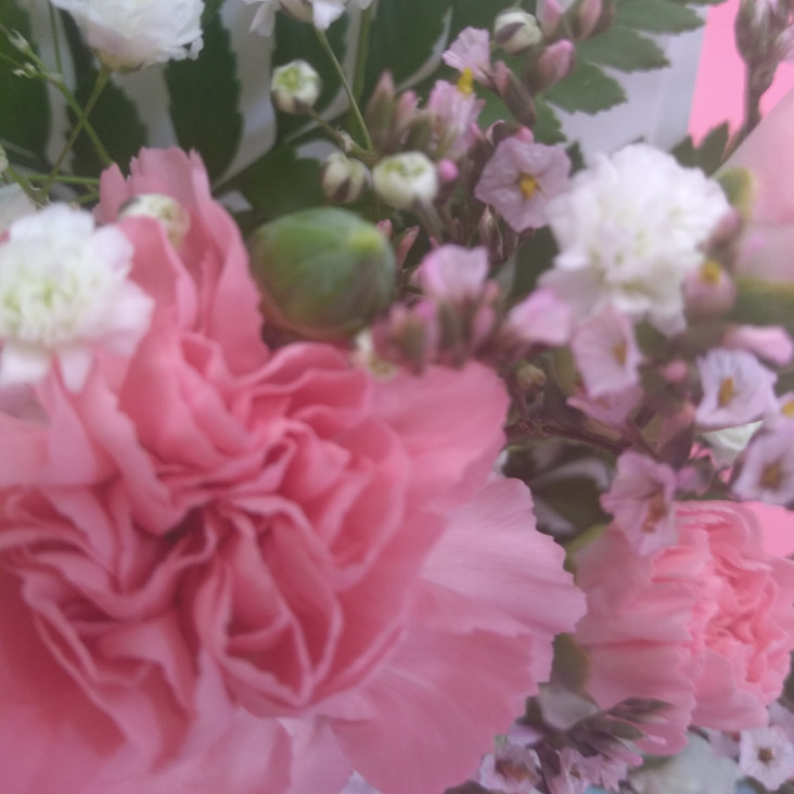 Pretty Pink 3 Flower card