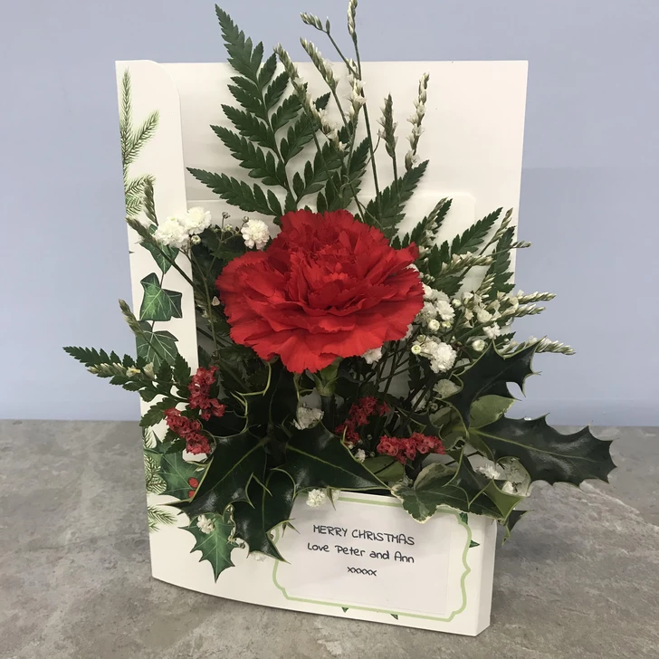 Red Christmas Flower Card