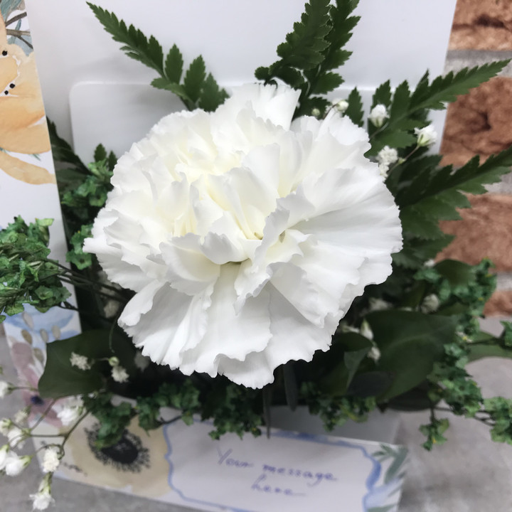 White Carnation Card3